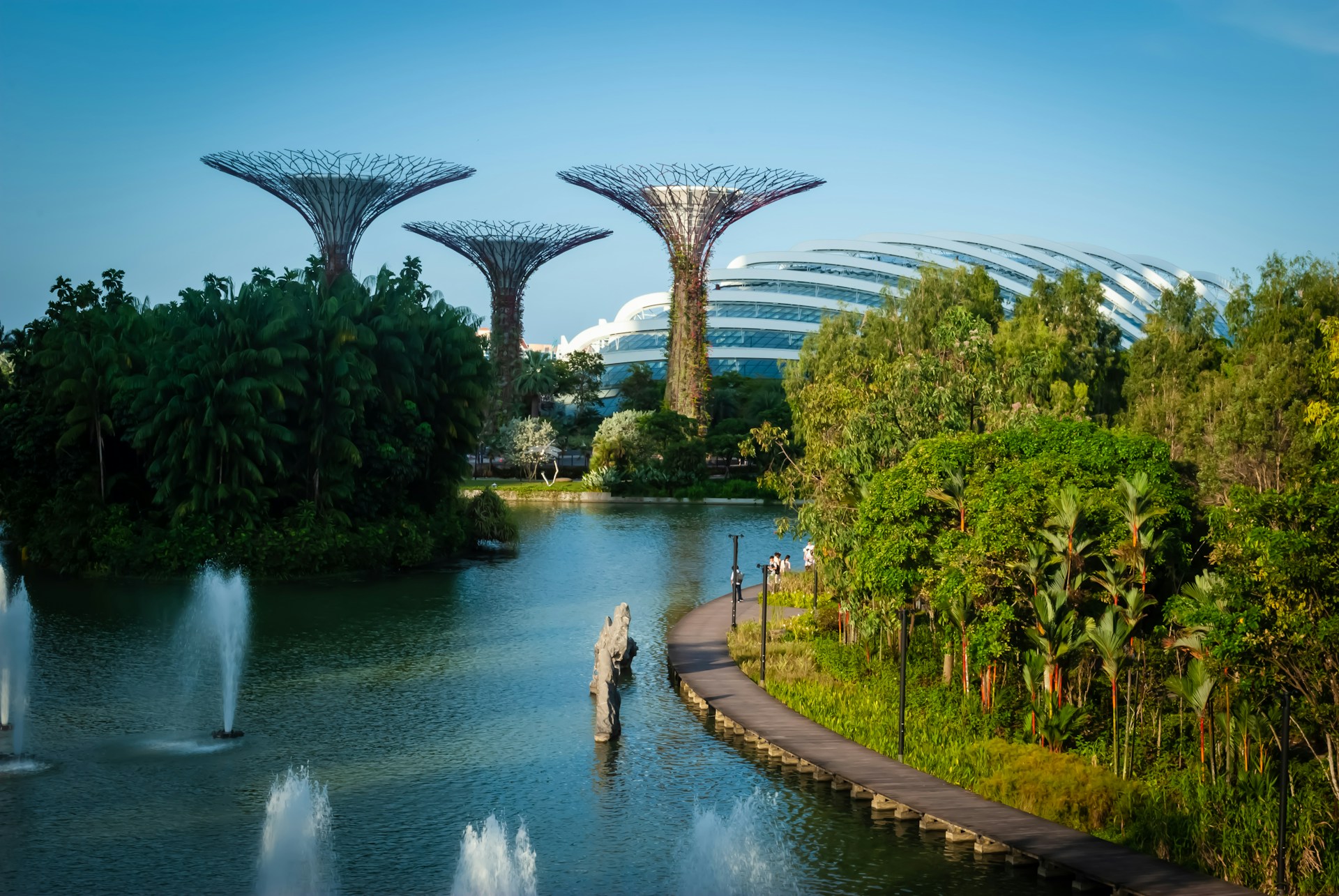 Shifting tides: Lion City lures Hong Kong investors