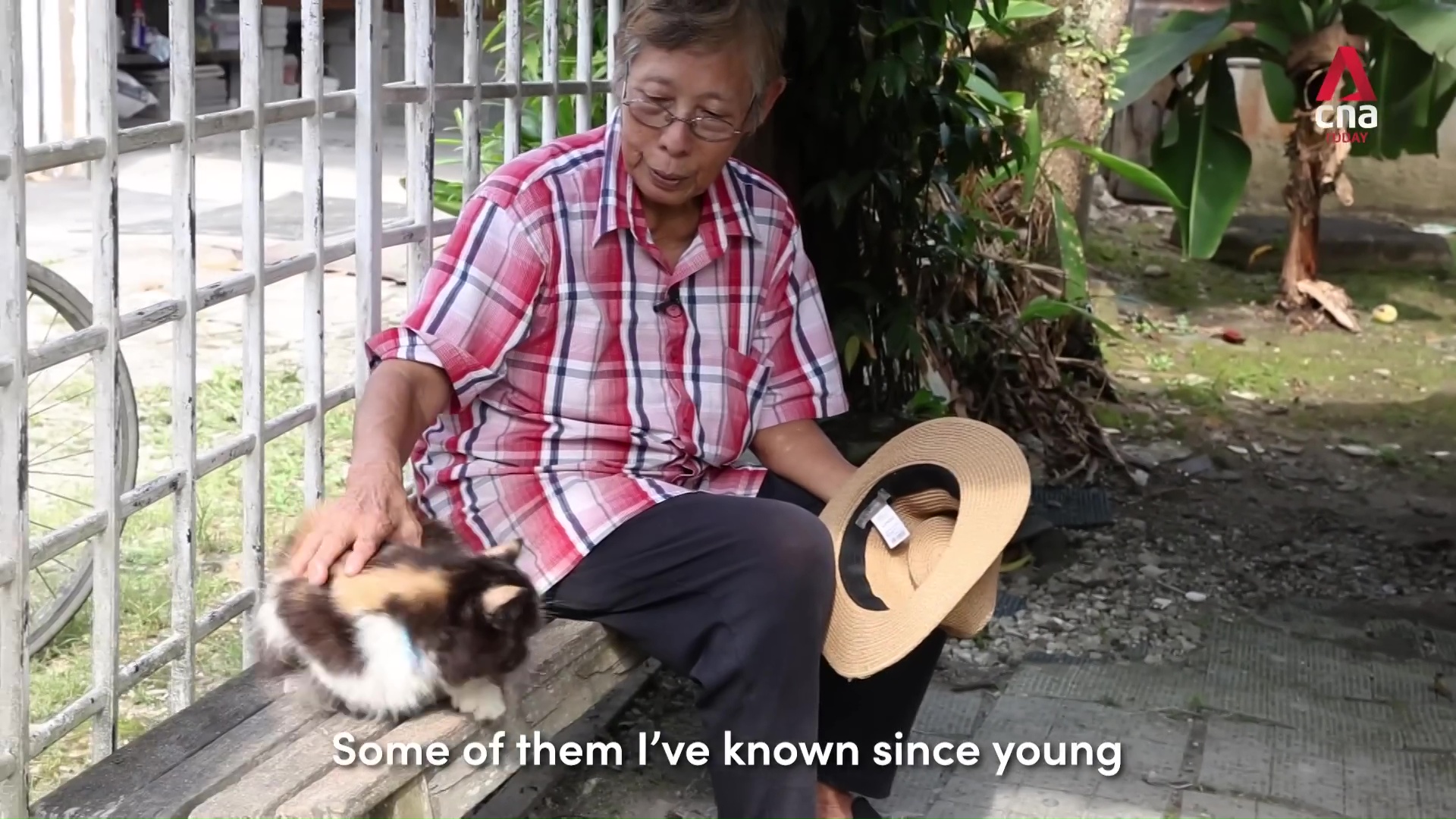 Madam Sng Mui Hong Living in the last kampung in mainland Singapore 6