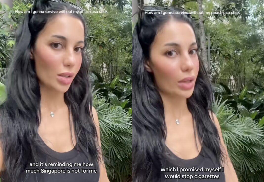 elfbar nachfüll pod läuft aus Foreign finance vlogger says Singapore is 'not for her' after realising  vaping is banned