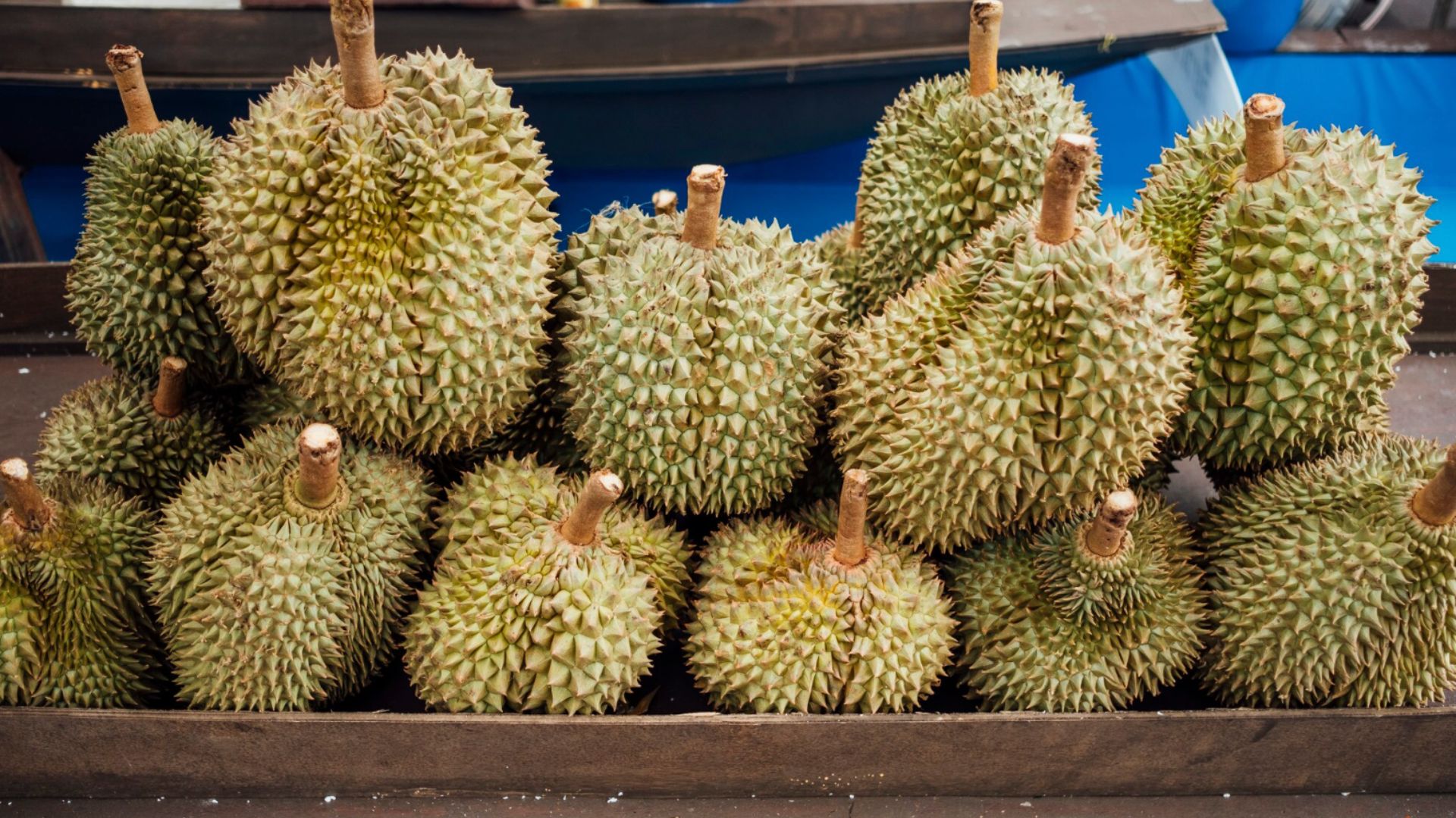 'The quality of durian this year is not ideal'— Durian season began late this year, retailers pointed out that there was shortage of stock