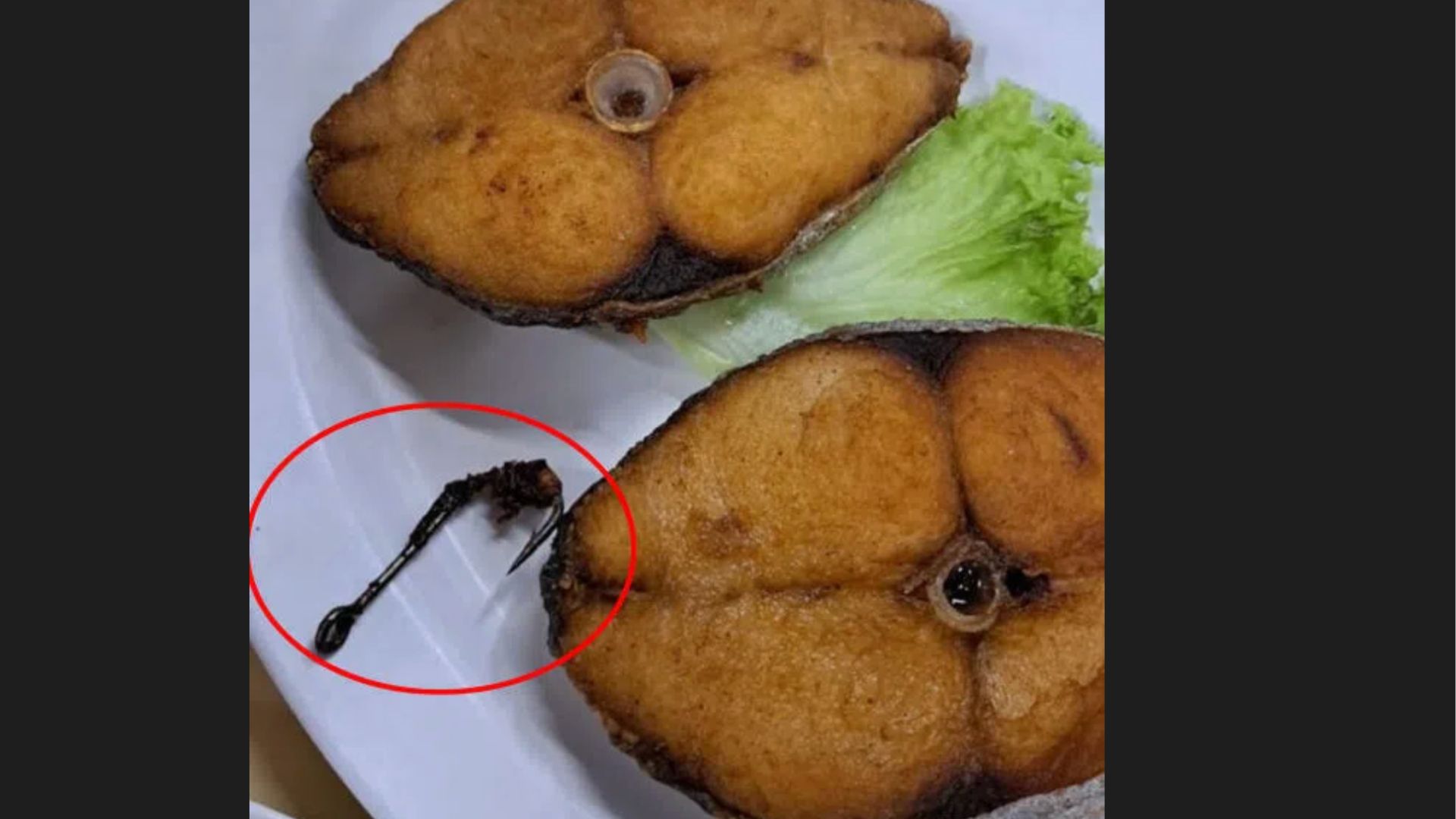 Woman injured by fish hook in her restaurant meal, owner issues apology and compensation