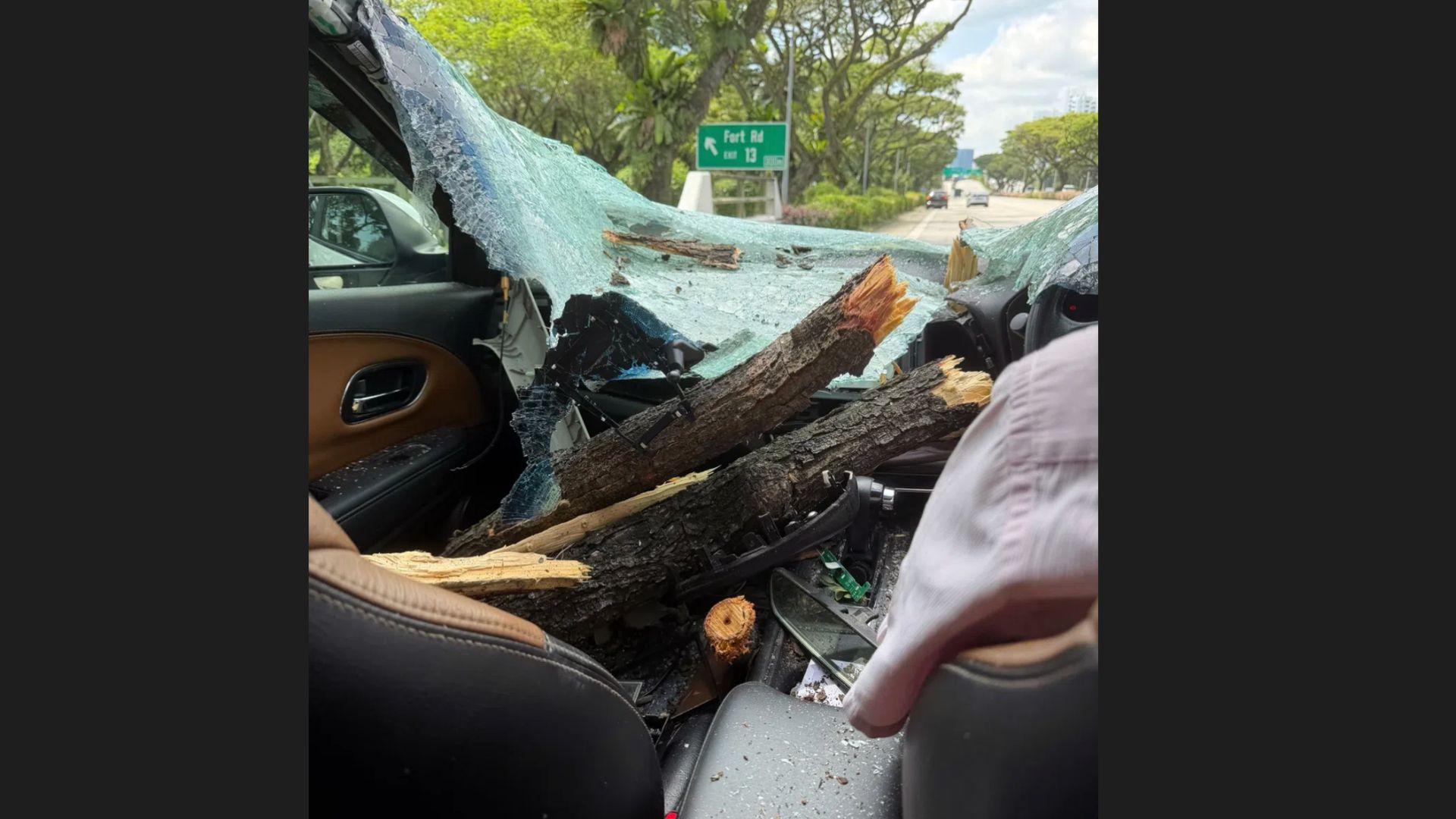 Tow truck crash along ECP leaves private-hire driver shaken after tree branch smashes his car