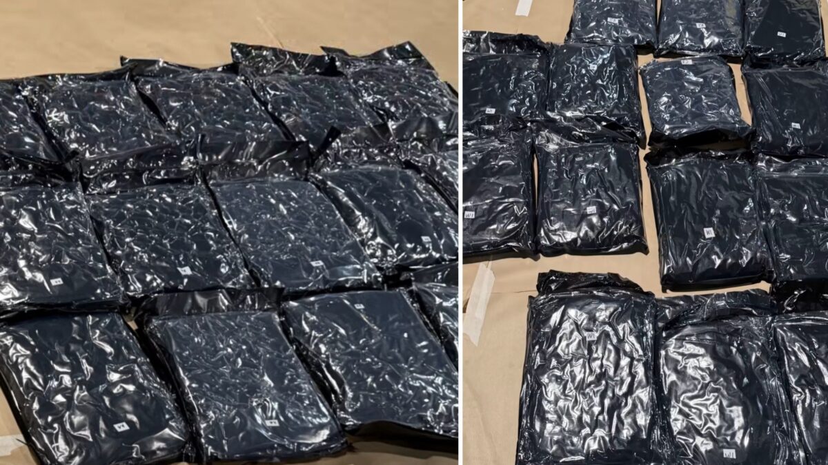 Over 500kg of cannabis seized in inbound container at Pasir Panjang ...